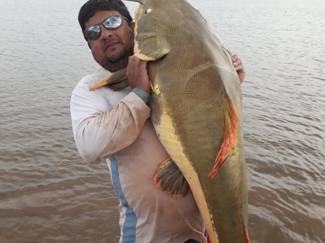 Pousada Tucunare主图