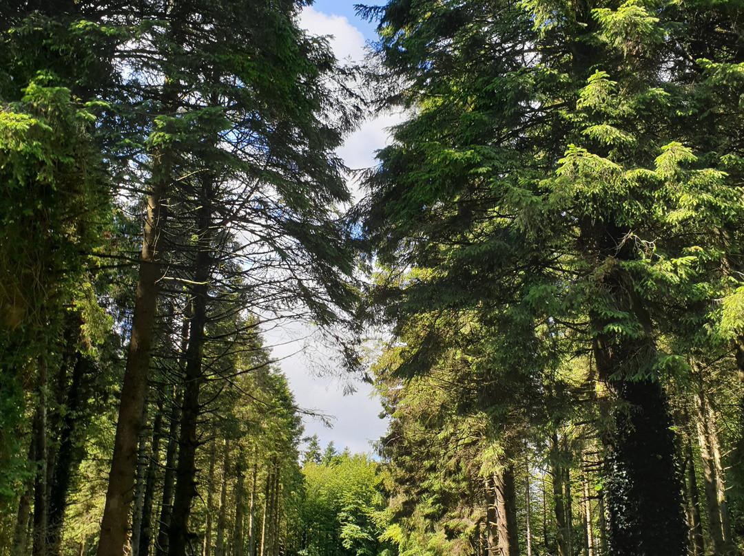 Woodburn Forest & Reservoir景点图片