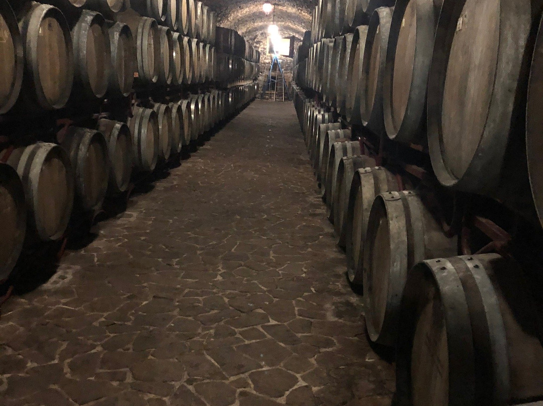 Wine Estate of Prince Trubetskoi-Vesele必去景点