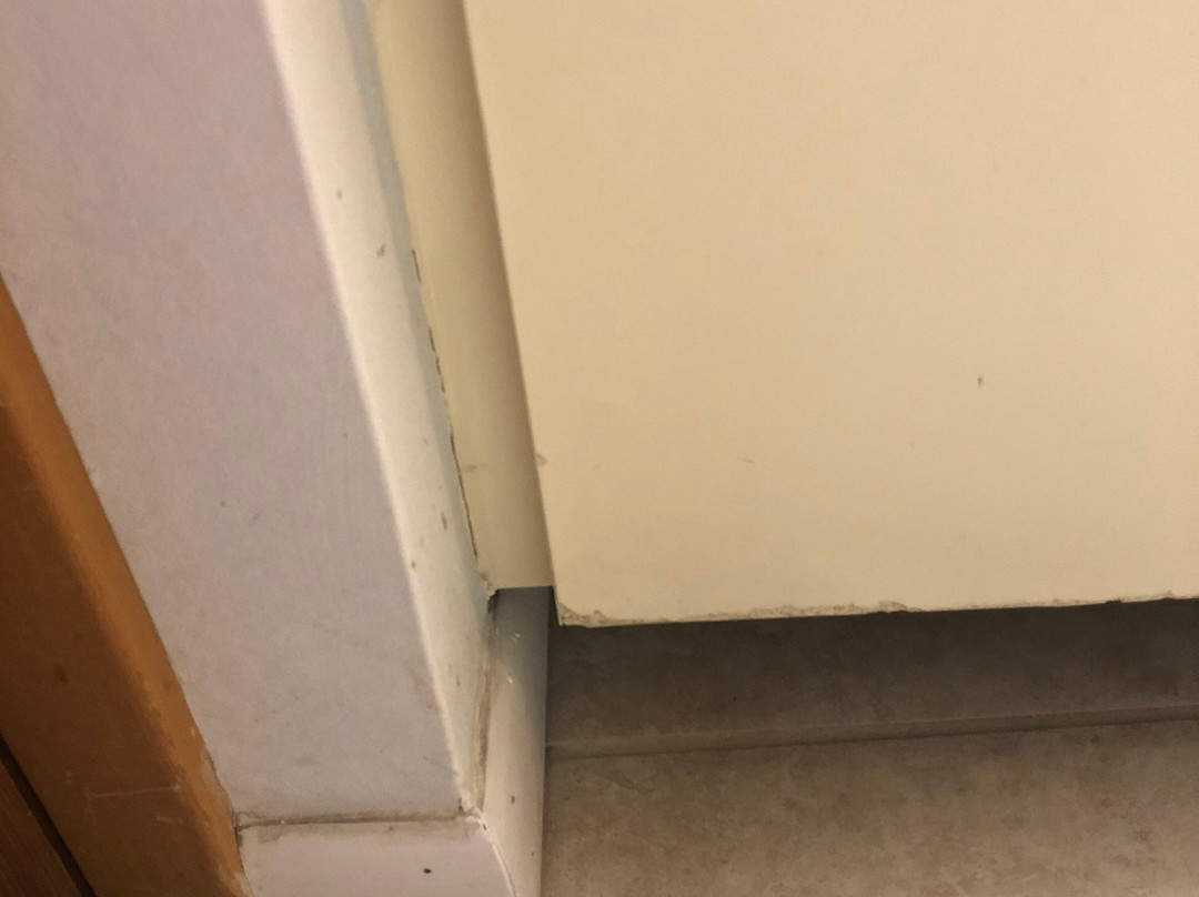 Oceanique Resort主图