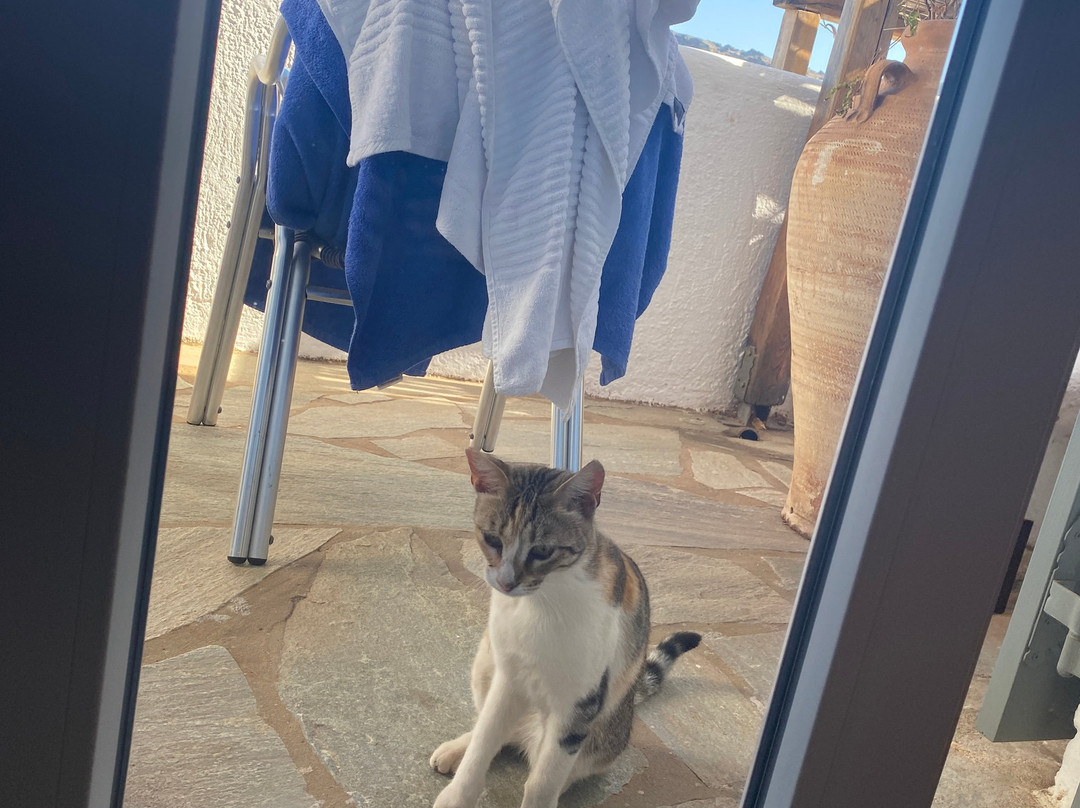 米科诺斯阿巴托斯俱乐部酒店主图