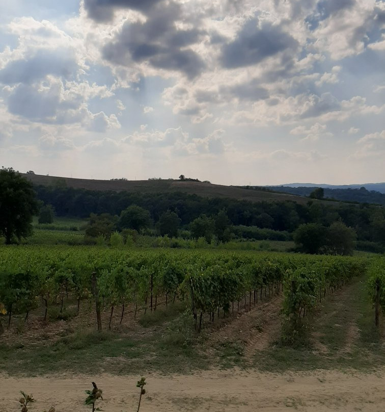 Agriturismo Croce di Bibbiano主图