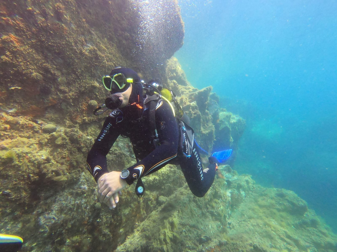 Aloes Plongee-Cerbere必去景点