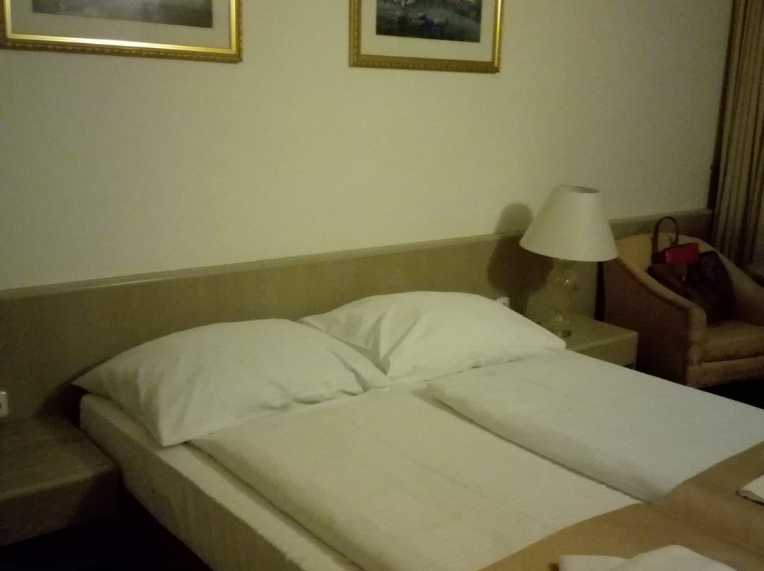 Hotel Myslivna主图