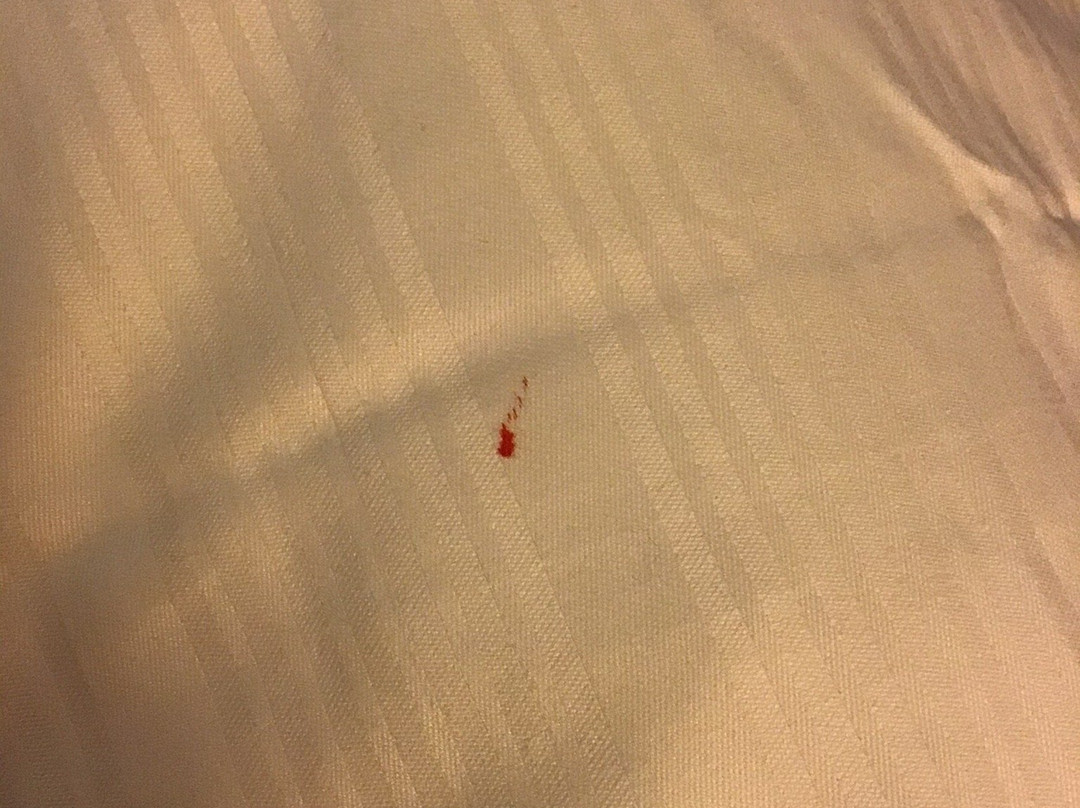 Hotel Pirsch主图