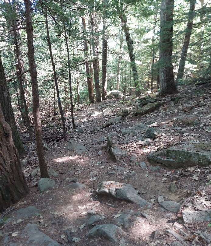 Locke's Hill Trails景点图片