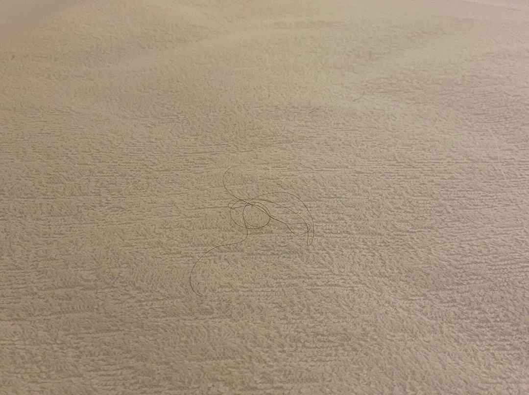 宜必思快捷吉罗纳布拉瓦海岸酒店主图