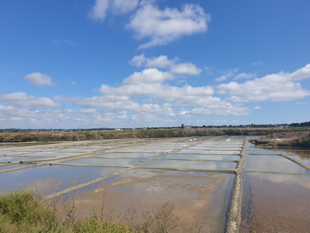 Marais Salants de Guerande景点图片