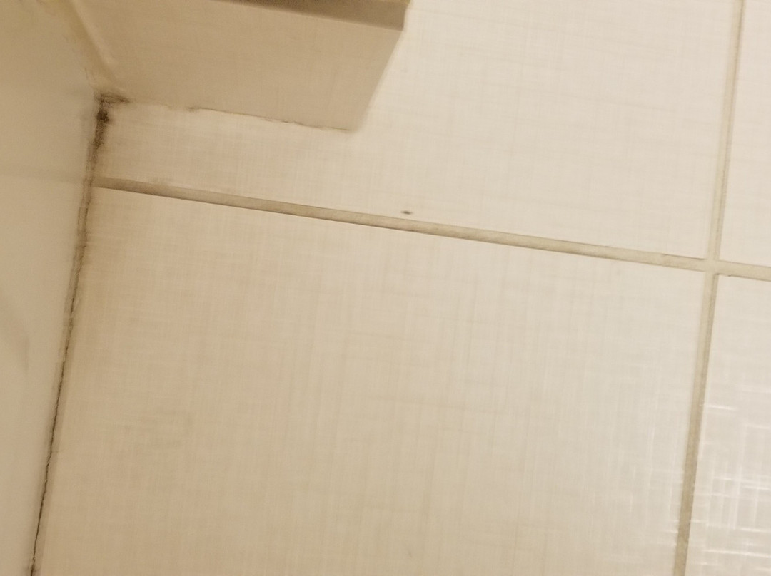 Fairfield Inn Tuscaloosa主图