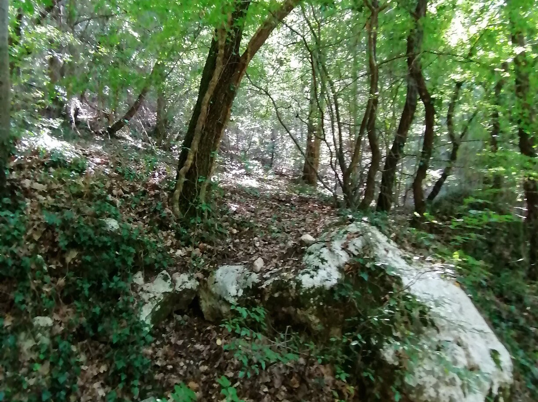 Cipresseta di Fontegreca - Info e Visite Guidate景点图片