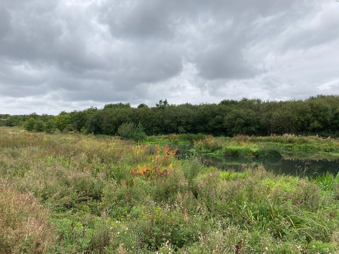 Monkton Fell-Hebburn必去景点