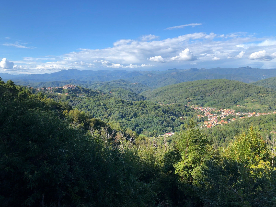 Santuario di Nostra Signora dell'Agostina-Valdipino必去景点