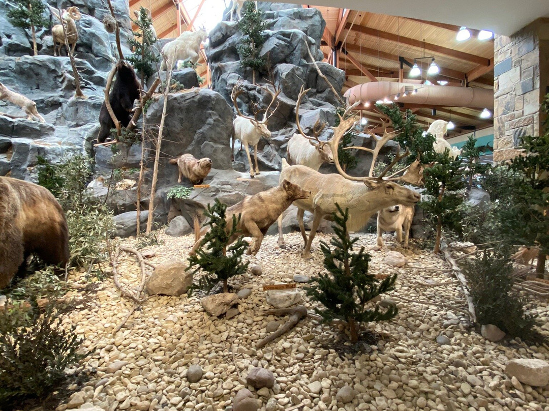 Cabela's-Buda必去景点