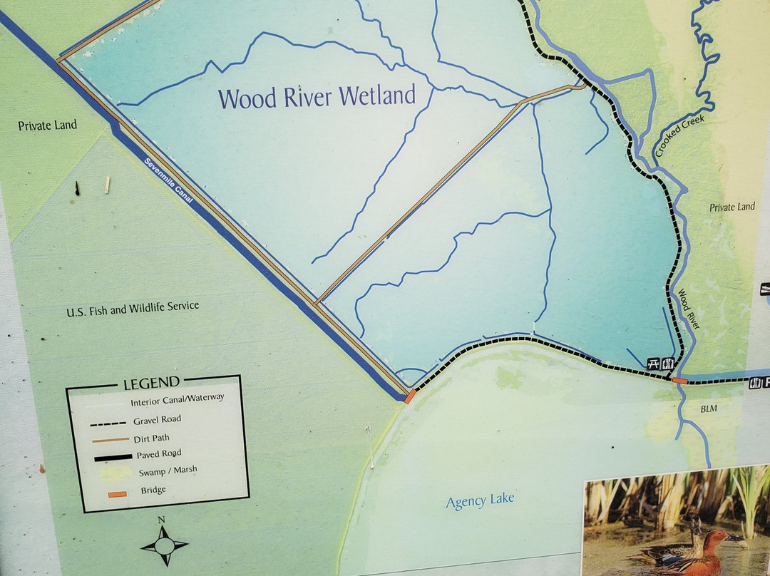 Wood River Wetland景点图片