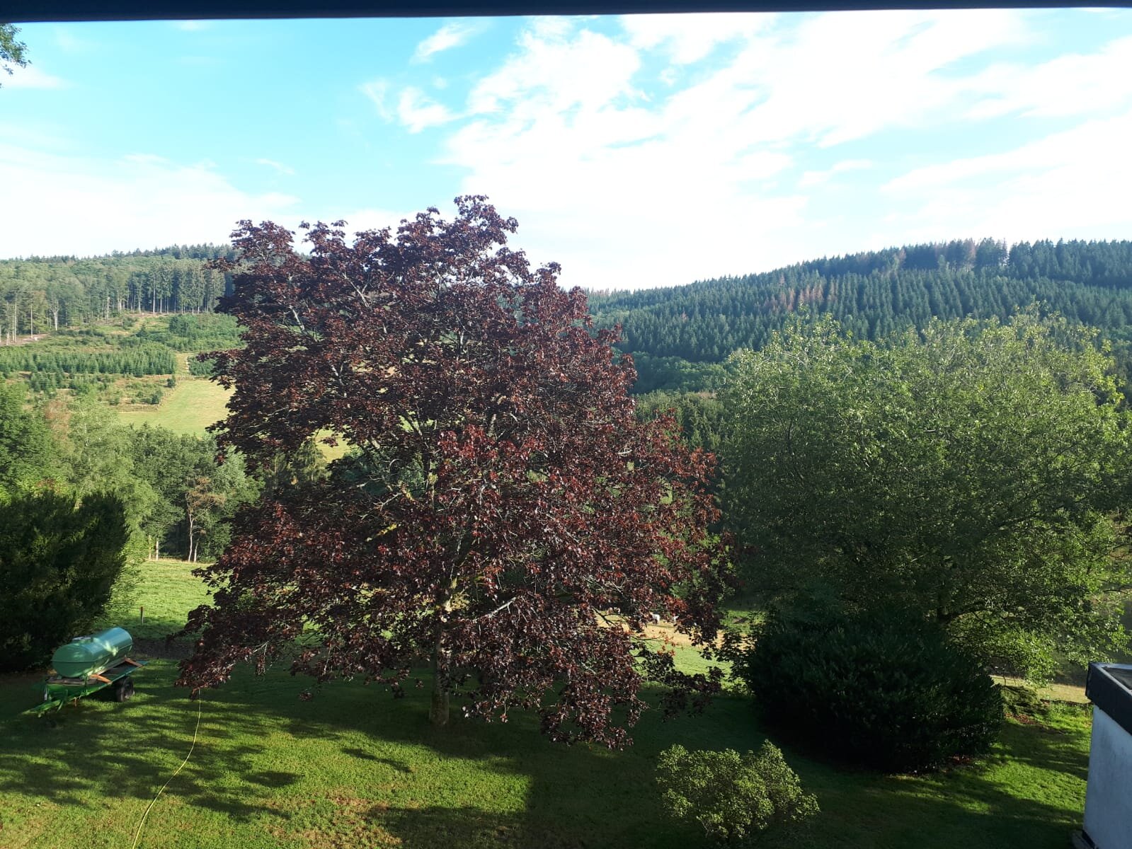 Landgasthof Hof Roscheid-酒店景观