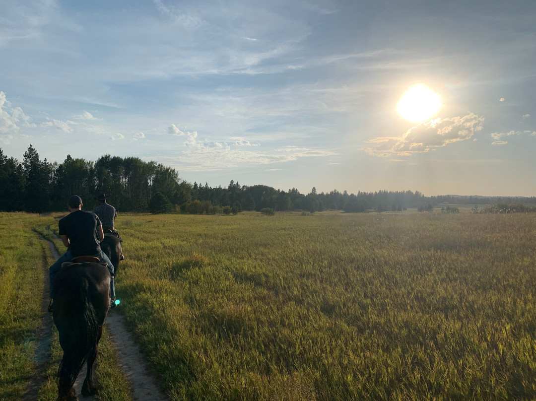 Spokane Trail Rides景点图片