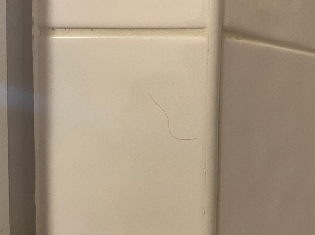 Travelodge Bodmin Roche Hotel主图