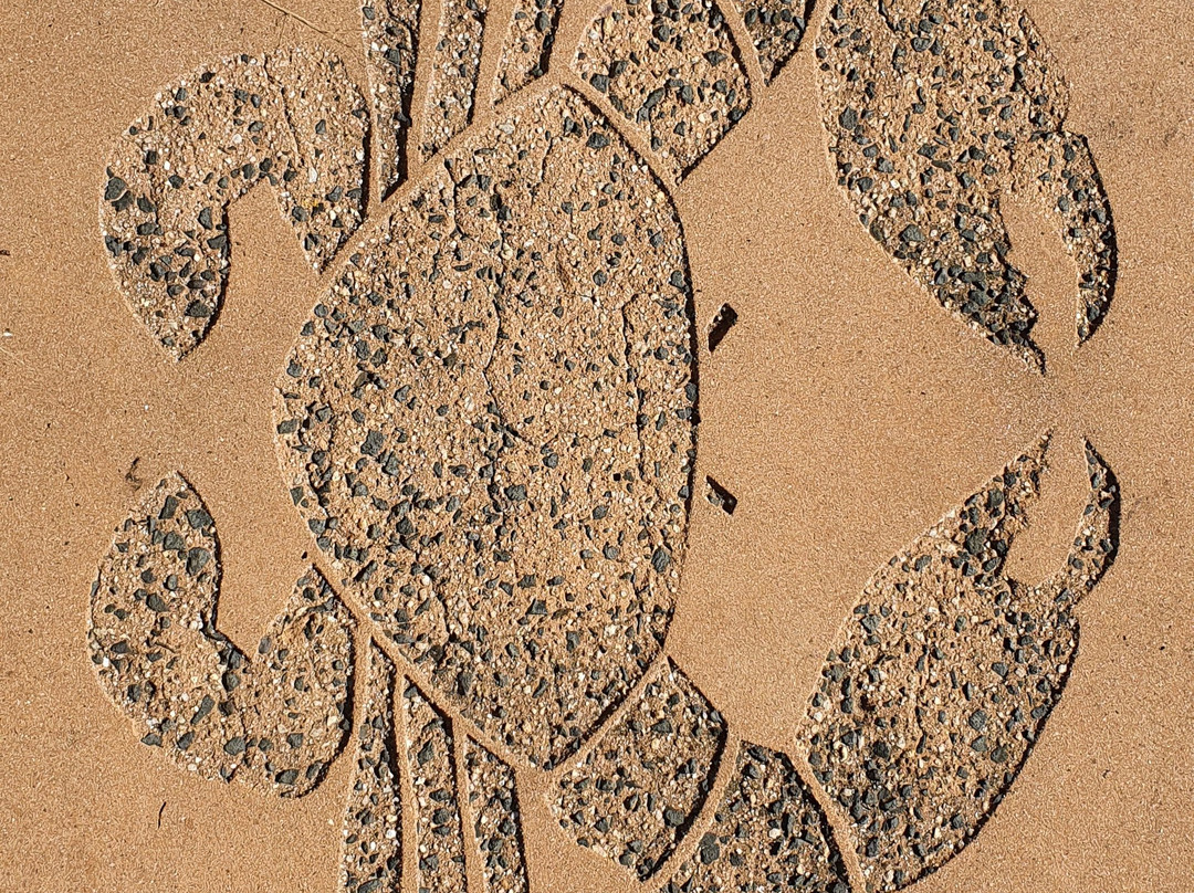 Cardwell Park Rest Area-卡德威尔必去景点