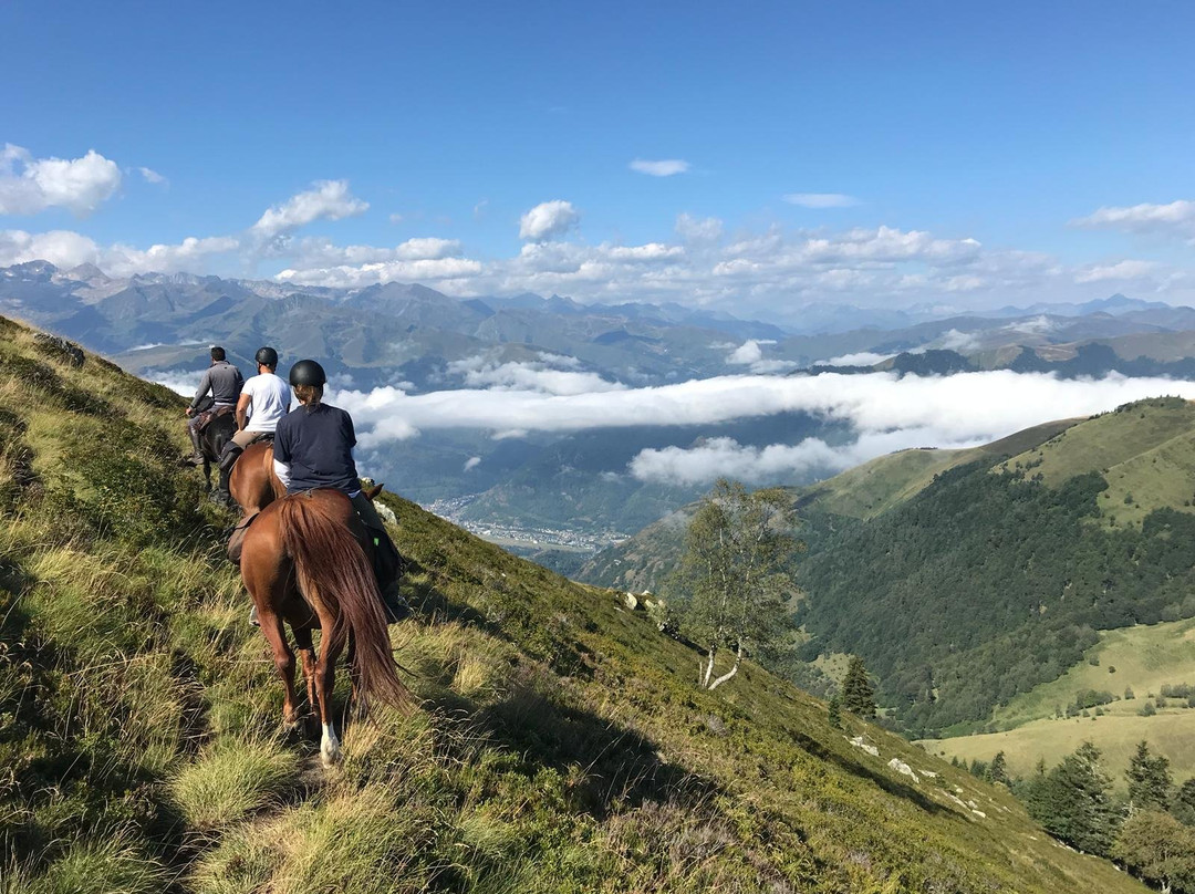Centre Equestre de Luchon景点图片