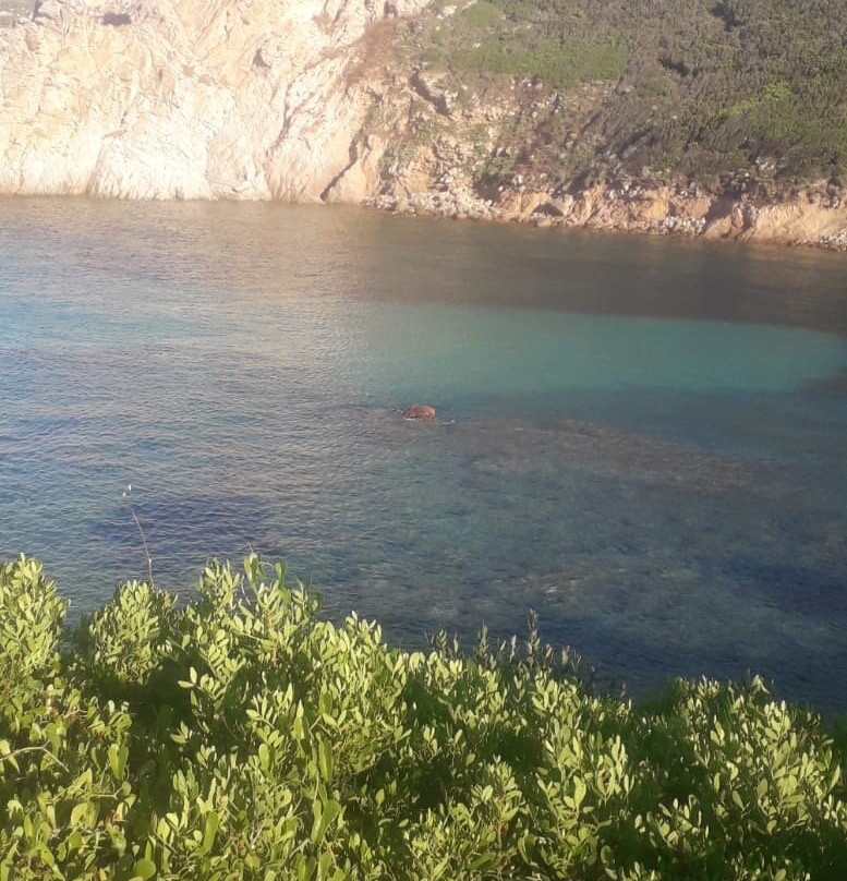 Spiaggia di Cala Sambuco-圣特雷莎加卢拉必去景点