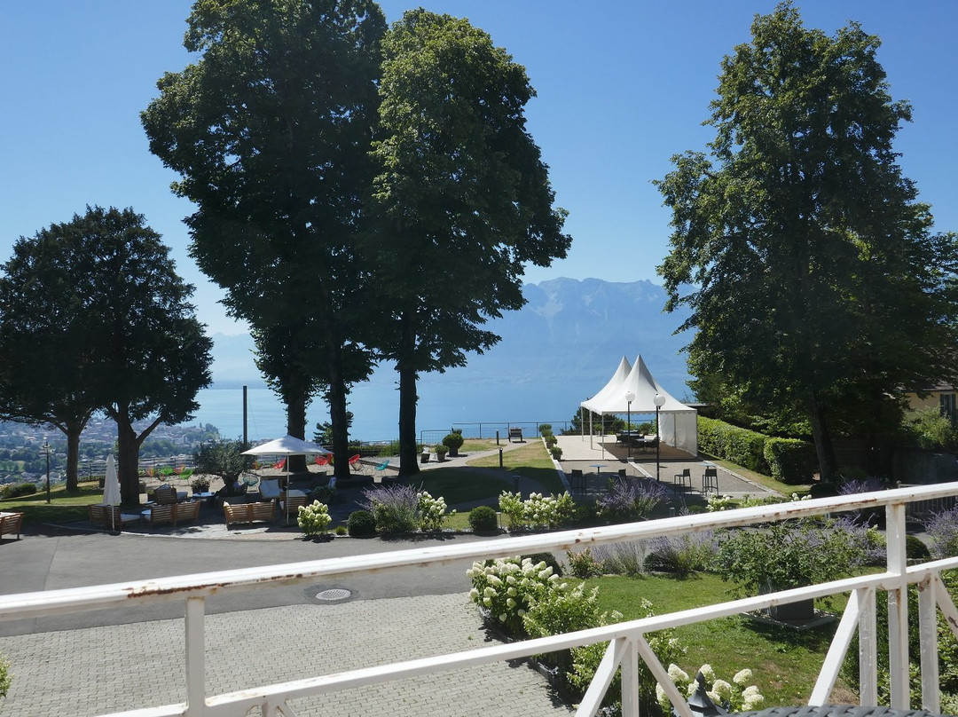 Hotel Du Leman - Centre De Seminaires主图
