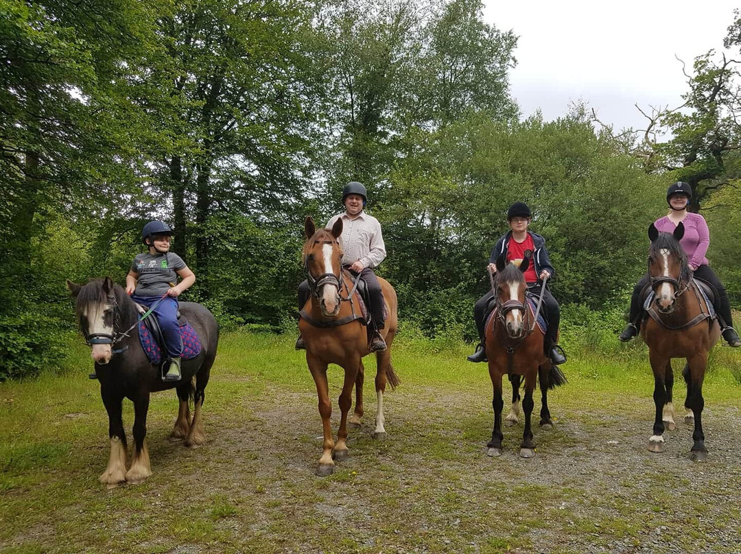 Garlands Farm Trekking and Horse Riding Centre景点图片