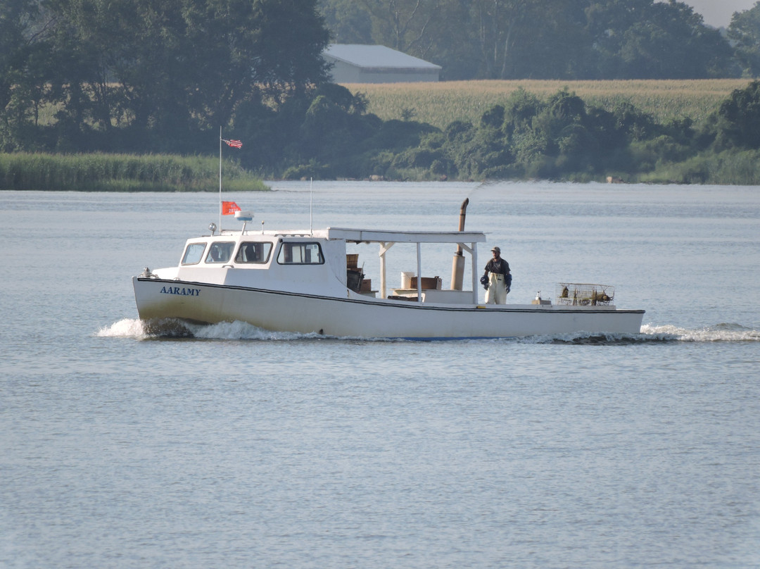 North Point Motel主图