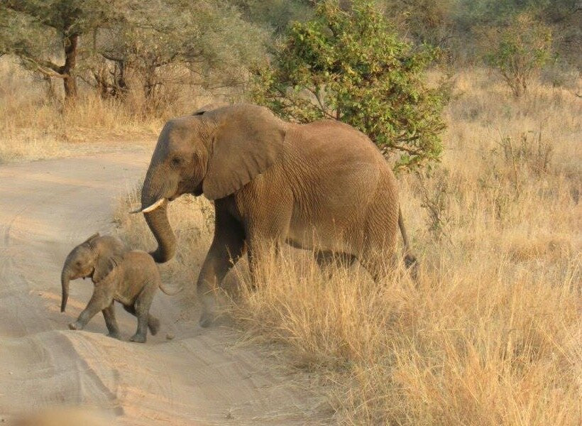 Destinations African Gorilla Limited-卡巴莱必去景点
