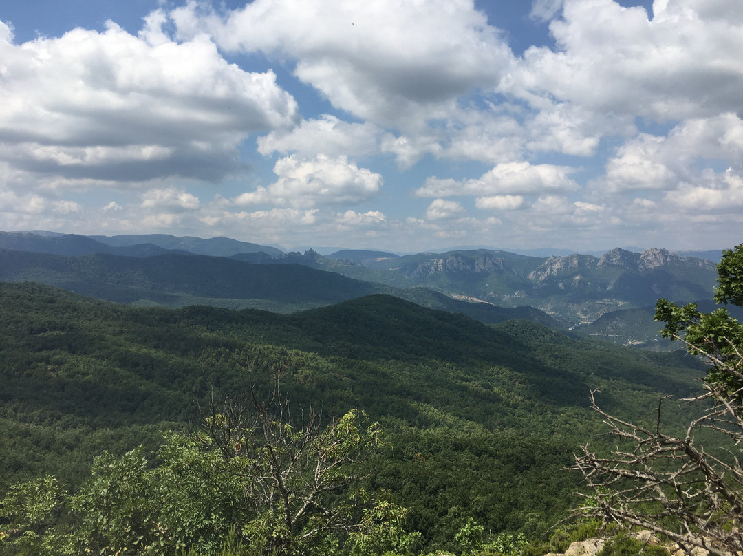 Lucania Outdoor Park景点图片