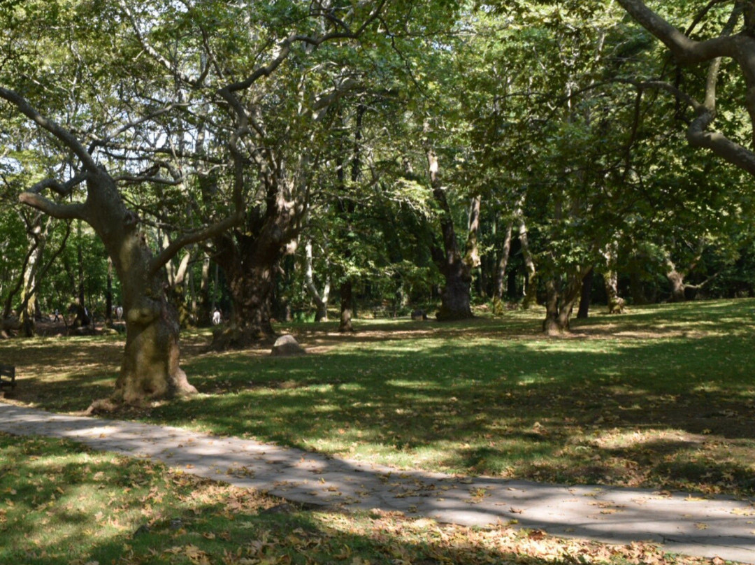 Agios Nikolaos Park-Naousa必去景点