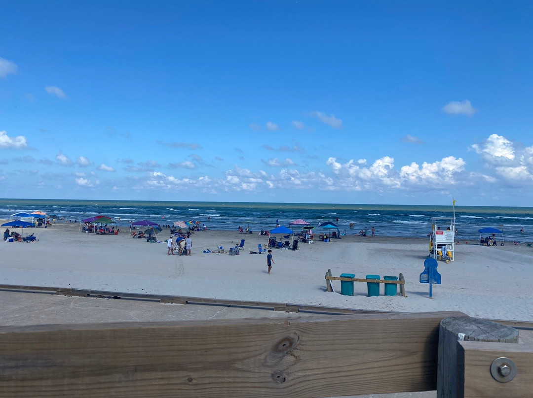 Michael J. Ellis Beach & Seawall-科珀斯克里斯蒂市必去景点