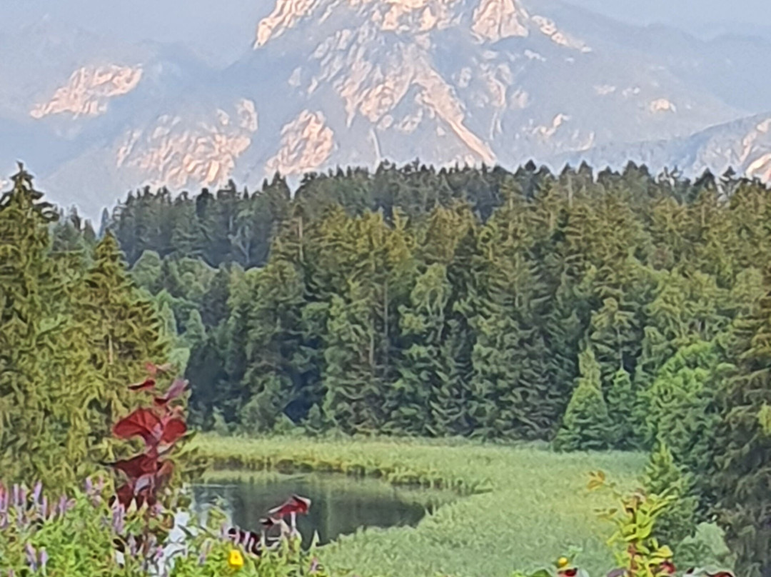 Ferienhof Paulsteiner主图