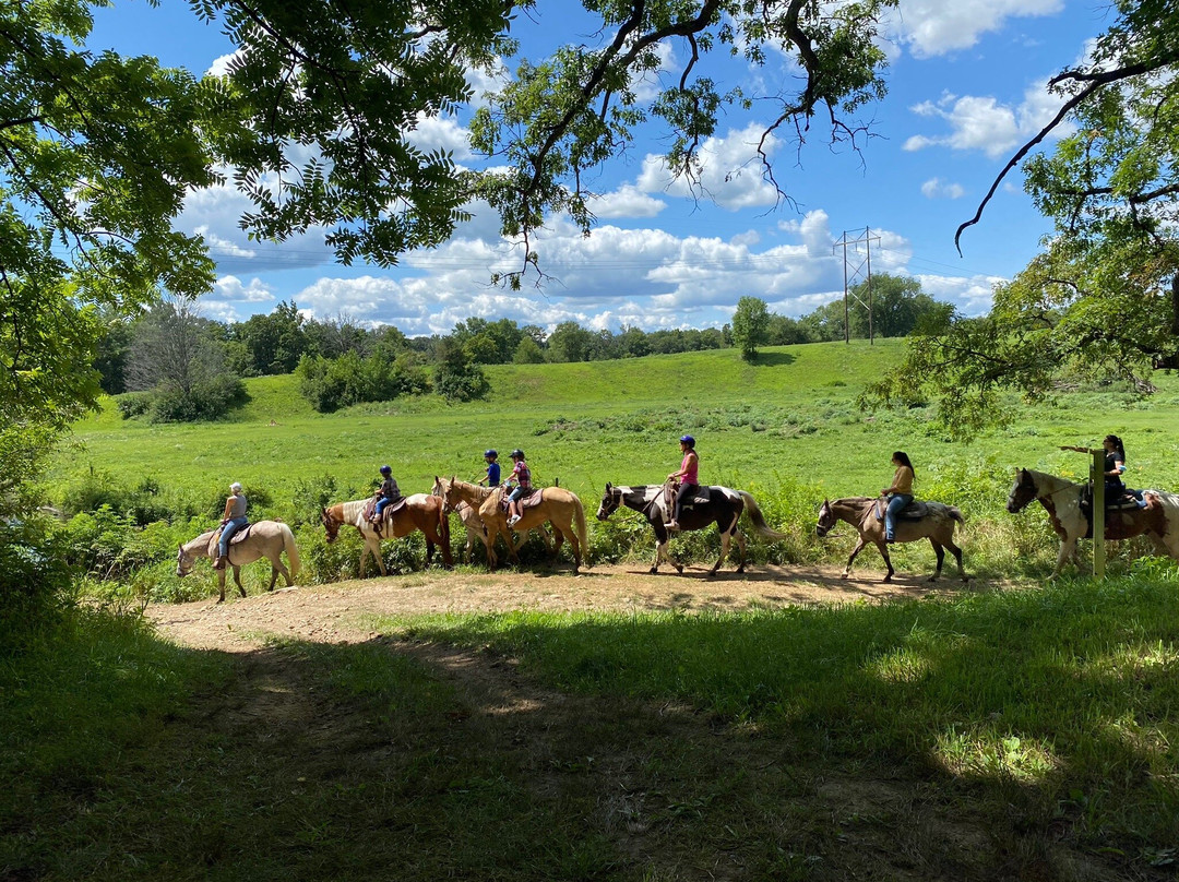 Cedar Creek Ranch景点图片