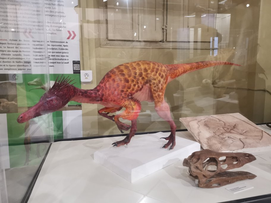 Musee Archeologique-尼姆必去景点