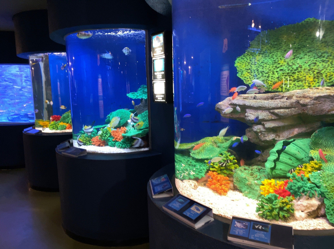 Teradomari Aquarium-长冈市必去景点