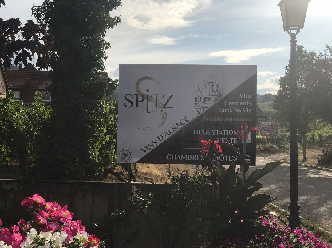 Spitz et Fils主图