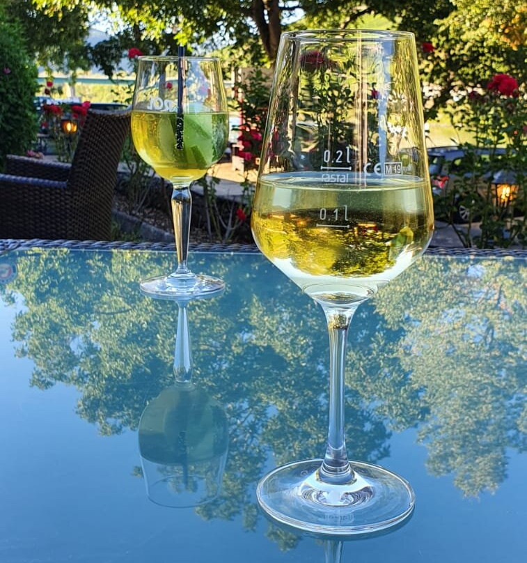 Boutique Hotel Villa Melsheimer主图