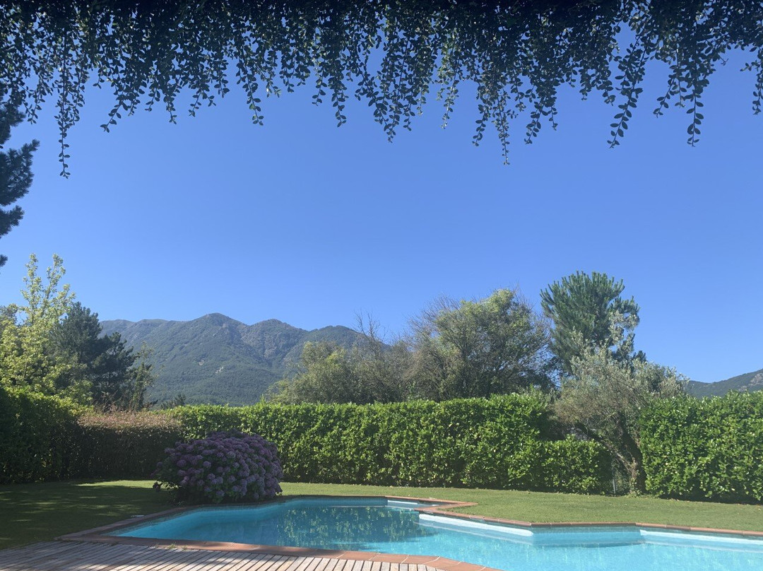 Gran Castanyer主图