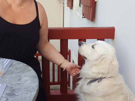 圣朱利安酒店主图