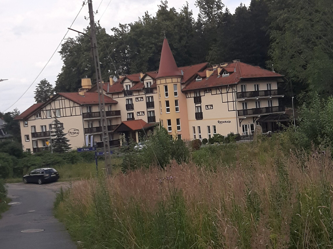 Hotel Nowa Ski主图