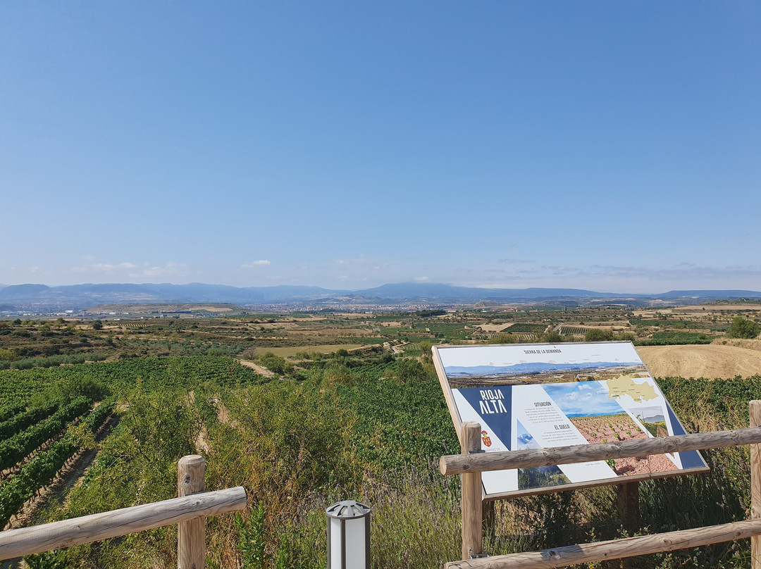 Bodegas Fernández de Piérola-Moreta必去景点