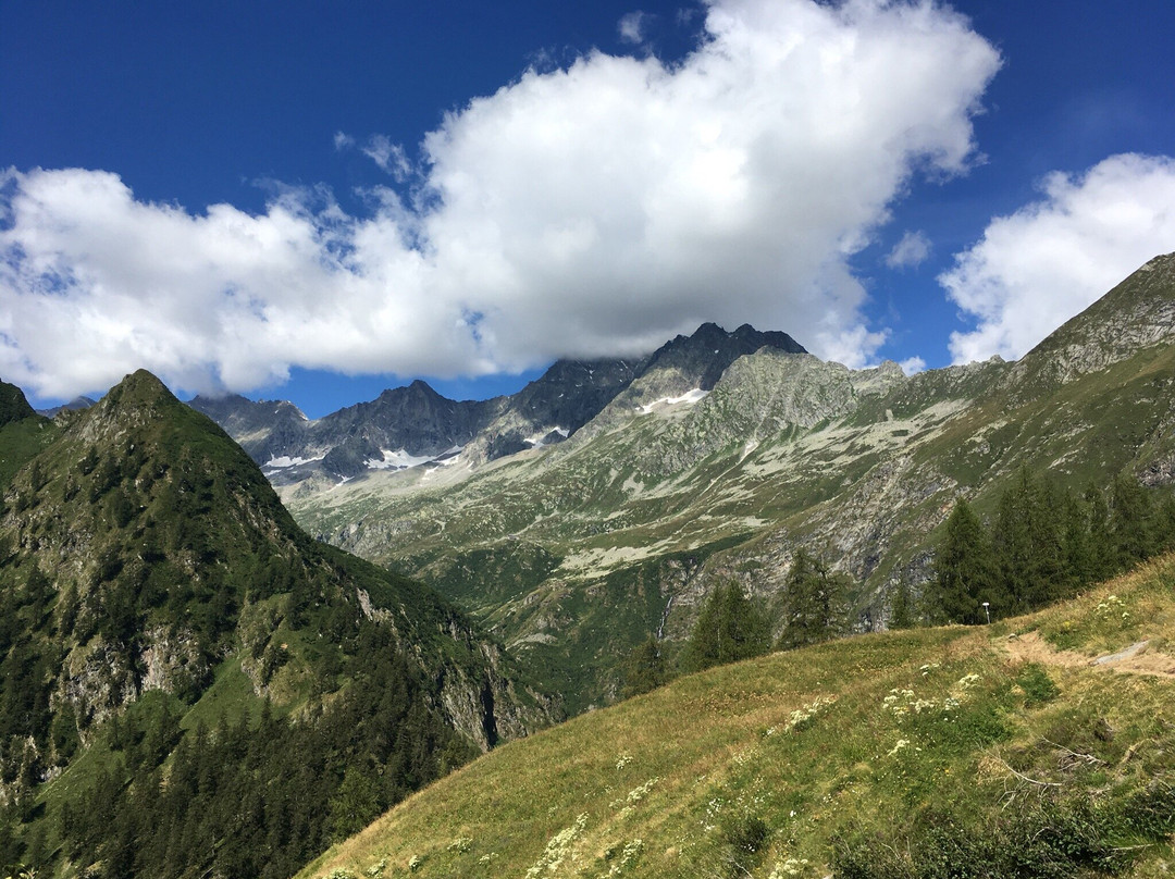 Lago Alpe dei Cavalli景点图片