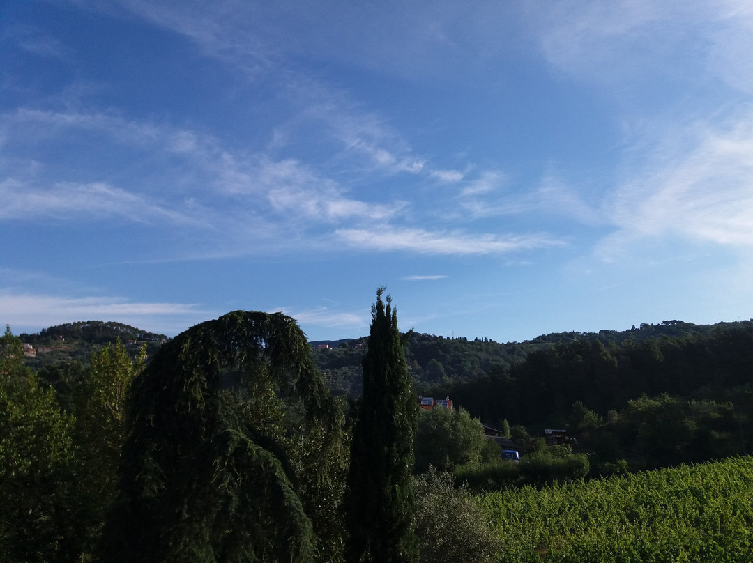 Agriturismo di Paterno