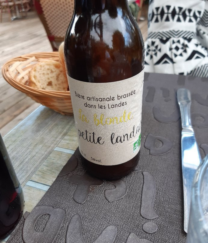 Logis Hôtel Linça主图