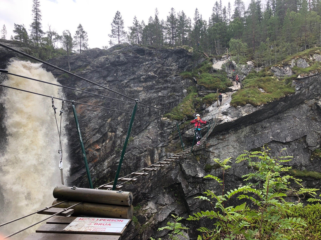 Rypetoppen Adventurepark景点图片
