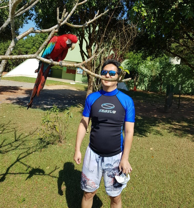 Balneario do Sol景点图片