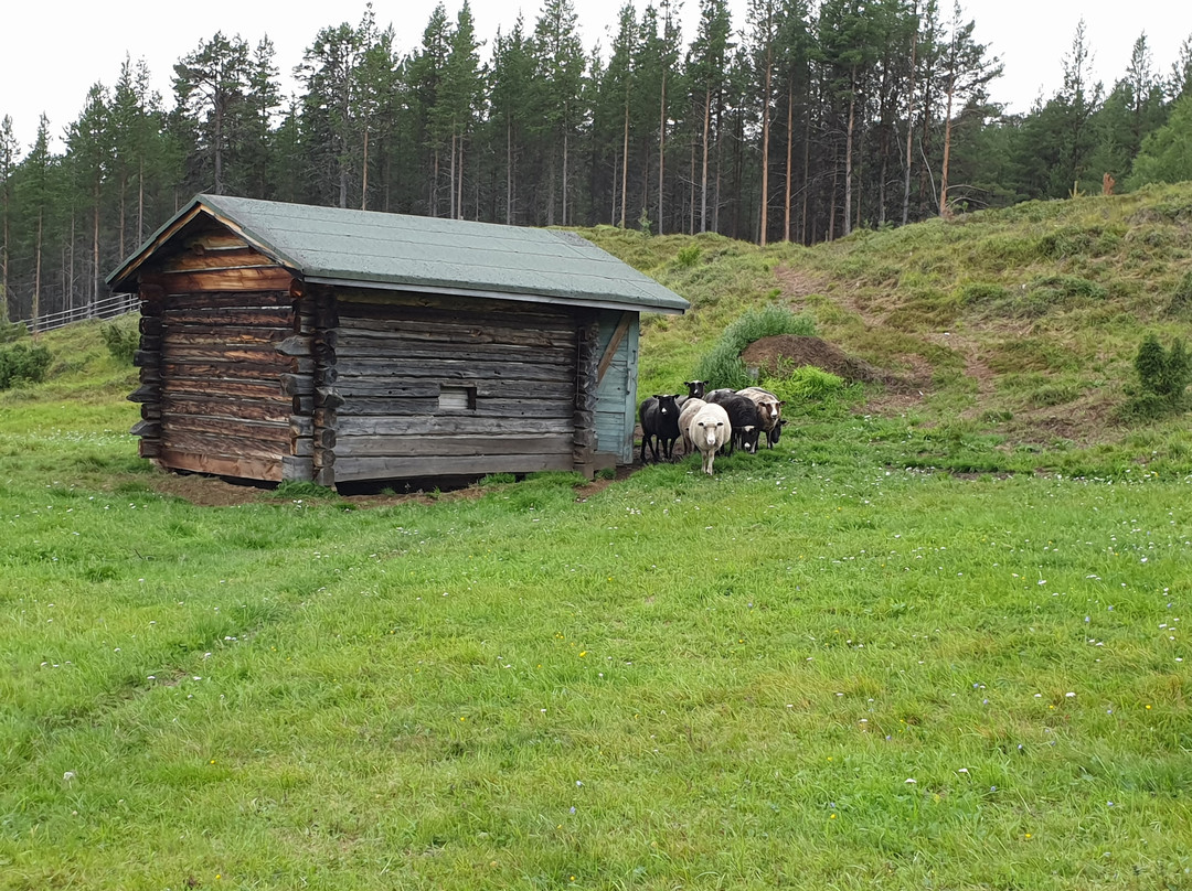 Paltto Elämysretket-伊纳里必去景点