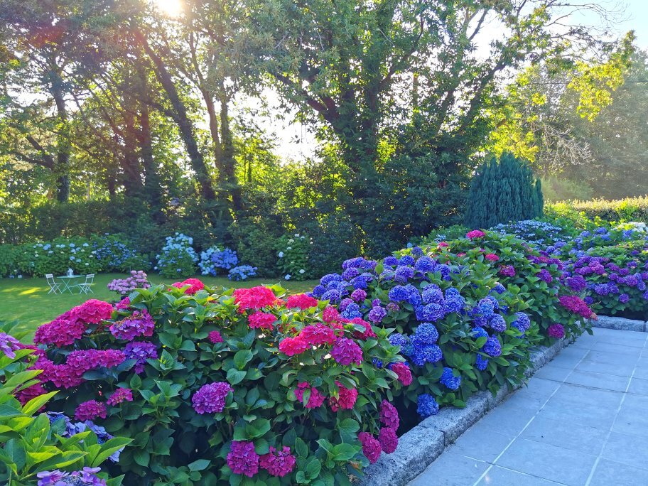 La Villa les Hortensias-官方