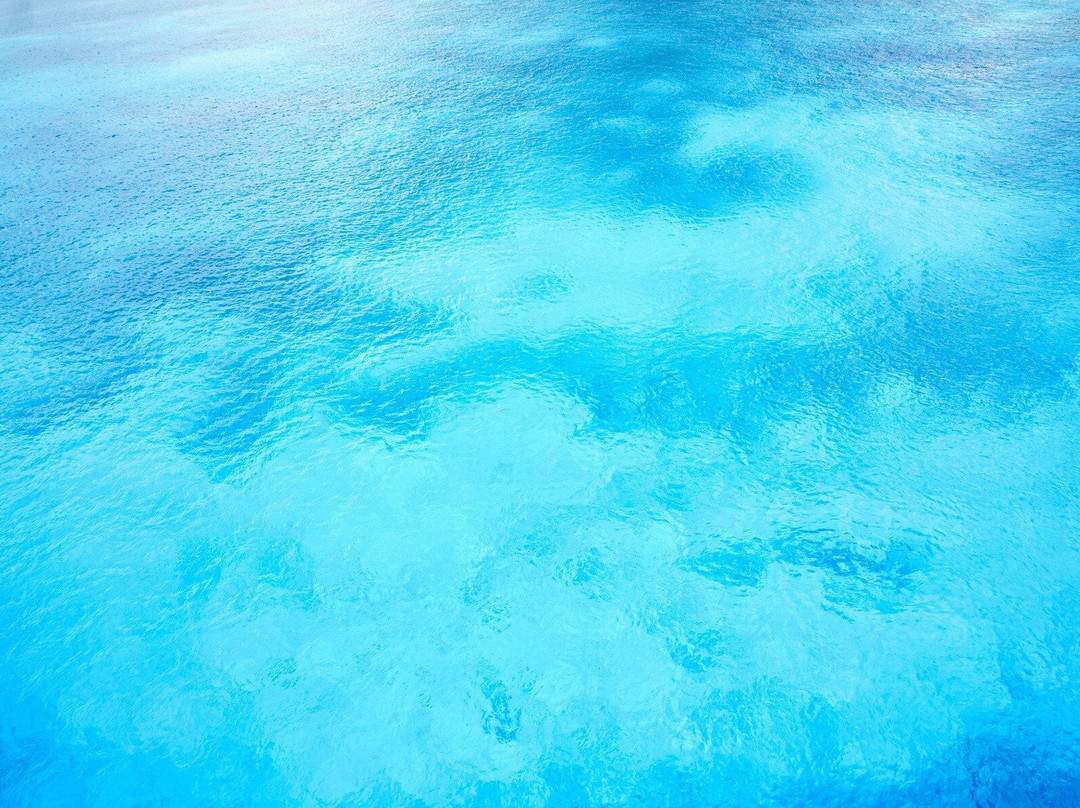 Pepeko Tours-Rio Grande必去景点