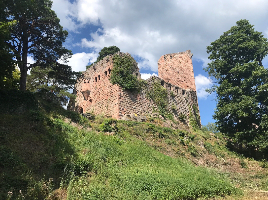 Chateau de Landsberg景点图片